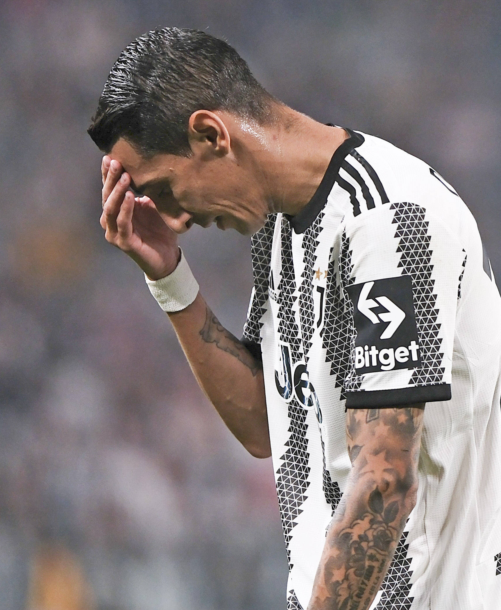 关于窗口期本菲卡伤情更新——意大利杯节点到来，赛场秩序良好，医务组通报恢复的信息